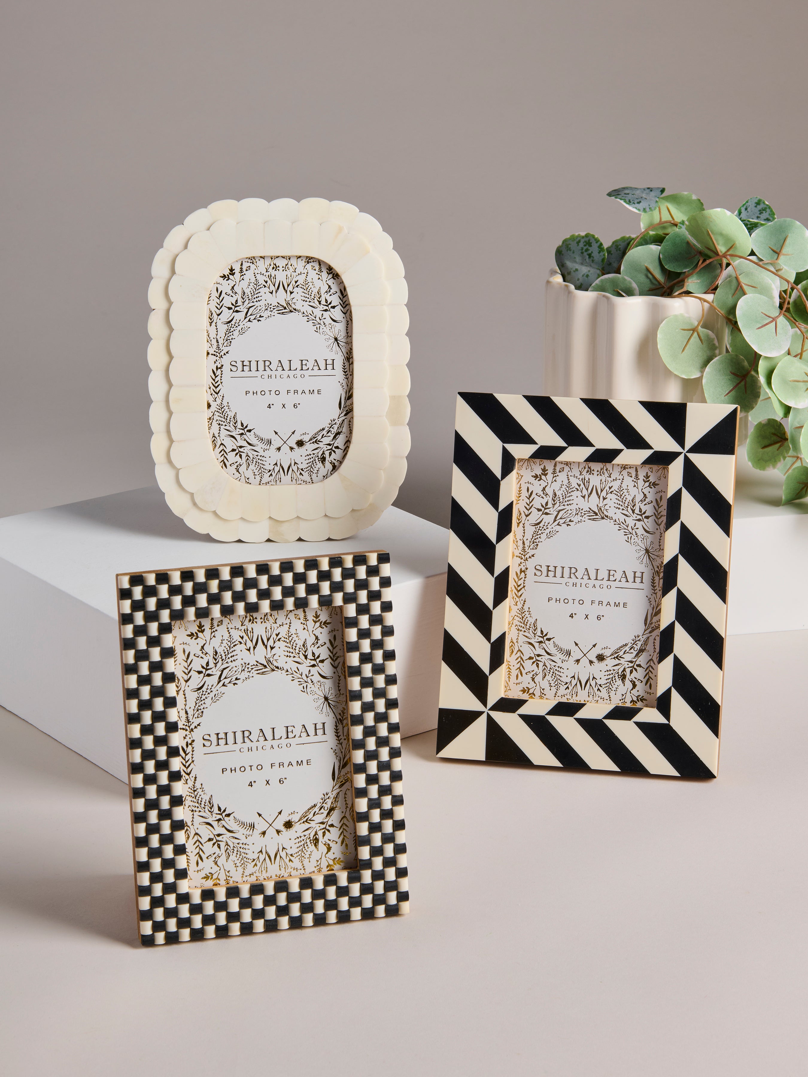 Shiraleah Roma 4" x 6" Oblong Picture Frame, Ivory