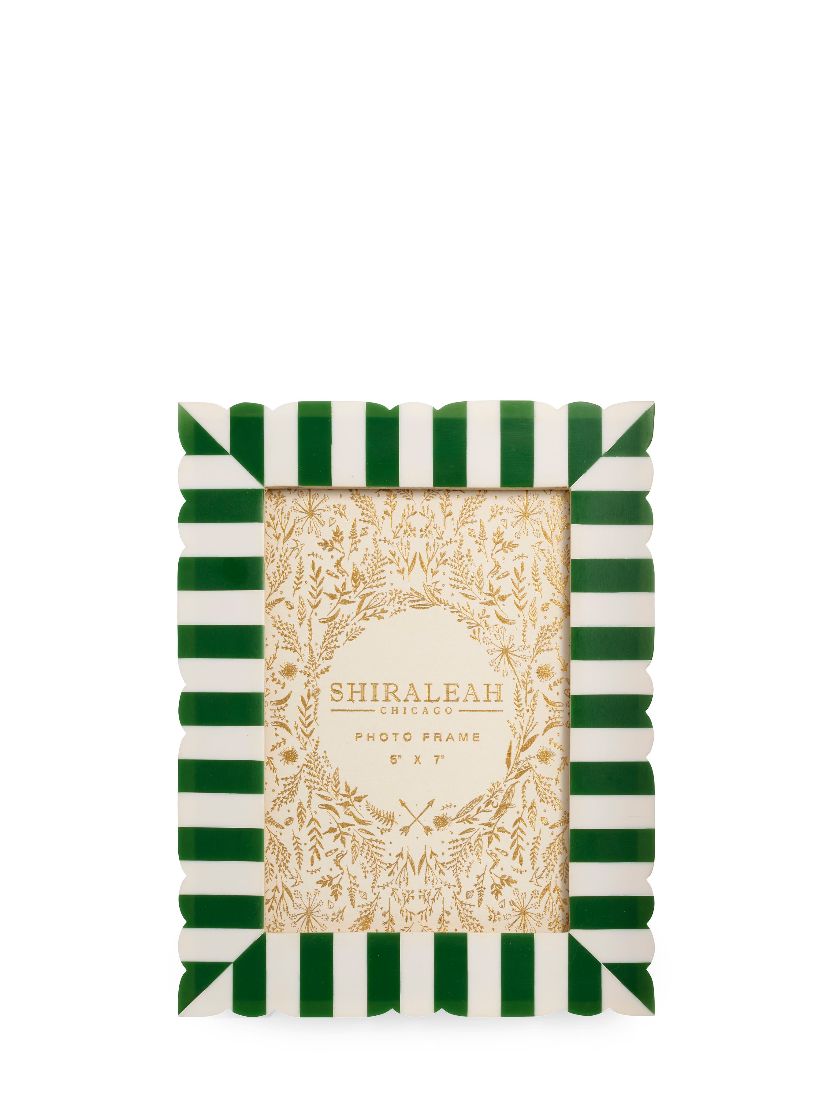 Shiraleah Viva 5" X 7" Cut Edge Picture Frame, Green