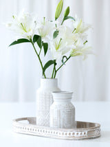 Shiraleah Small Austin Vase, Ivory - FINAL SALE ONLY