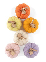 Shiraleah New Harvest Set of 6 Assorted Pumpkins, Multi - FINAL SALE ONLY